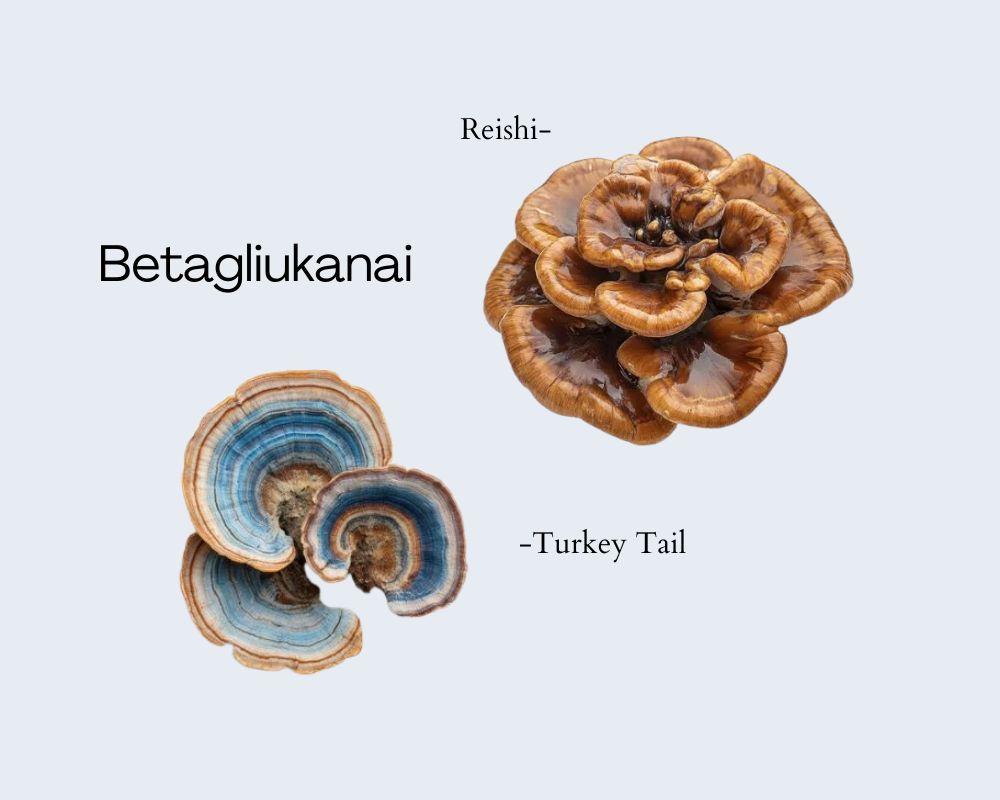 Kava su funkciniais grybais - lengvas būdas sustiprinti imunitetą